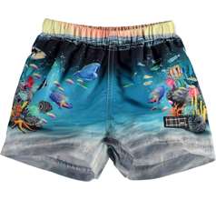 Newton Swimwear